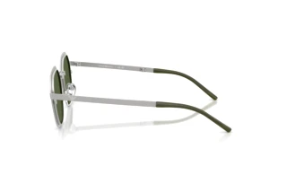 Zijaanzicht Emporio Armani EA2176 (301571)