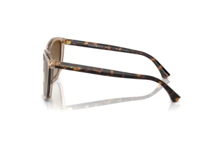 Zijaanzicht Emporio Armani EA4060 (5850T5)