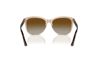 Achteraanzicht Emporio Armani EA4060 (5850T5)