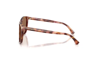 Zijaanzicht Emporio Armani EA4060 (619673)