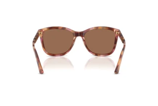 Achteraanzicht Emporio Armani EA4060 (619673)