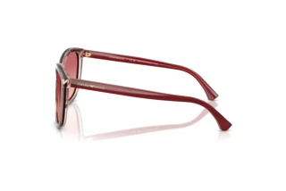 Zijaanzicht Emporio Armani EA4060 (6377A5)