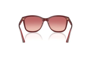 Achteraanzicht Emporio Armani EA4060 (6377A5)