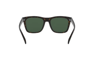 Achteraanzicht Emporio Armani EA4142 (508971)