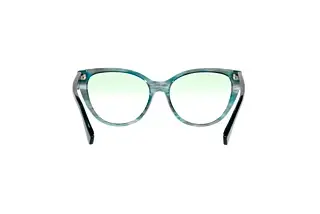 Achteraanzicht Emporio Armani EA4162 (58868E)
