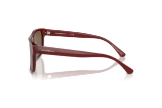 Zijaanzicht Emporio Armani EA4163 (507573)