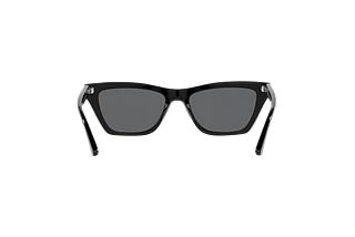Achteraanzicht Emporio Armani EA4169 (587587)