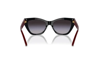 Achteraanzicht Emporio Armani EA4176 (50178G)