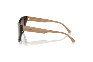 Zijaanzicht Emporio Armani EA4176 (587913)