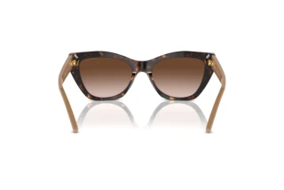 Achteraanzicht Emporio Armani EA4176 (587913)
