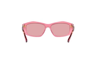 Achteraanzicht Emporio Armani EA4187 (554484)