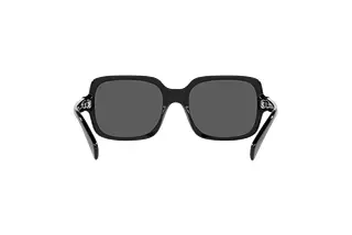 Achteraanzicht Emporio Armani EA4195 (501787)