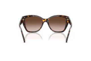 Achteraanzicht Emporio Armani EA4198 (502613)