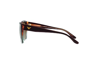 Zijaanzicht Emporio Armani EA4198 (59898E)