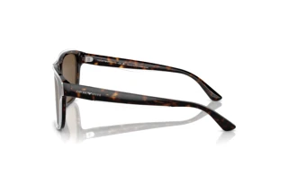Zijaanzicht Emporio Armani EA4208 (605273)