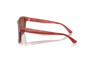 Zijaanzicht Emporio Armani EA4208 (605373)