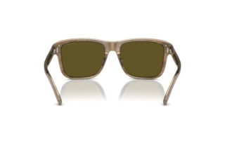 Achteraanzicht Emporio Armani EA4208 (605573)