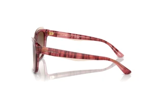 Zijaanzicht Emporio Armani EA4209 (605713)