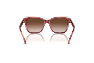 Achteraanzicht Emporio Armani EA4209 (605713)