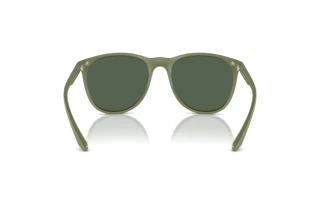 Achteraanzicht Emporio Armani EA4210 (542471)