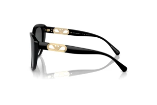 Zijaanzicht Emporio Armani EA4214U (50178G)