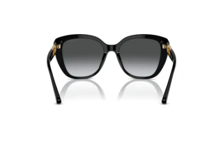 Achteraanzicht Emporio Armani EA4214U (50178G)