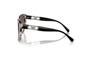 Zijaanzicht Emporio Armani EA4214U (605811)