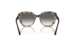 Achteraanzicht Emporio Armani EA4214U (605811)