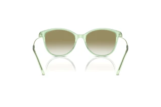 Achteraanzicht Emporio Armani EA4220 (61078E)
