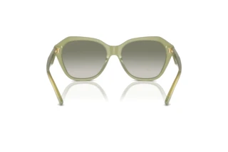 Achteraanzicht Emporio Armani EA4221 (61168E)