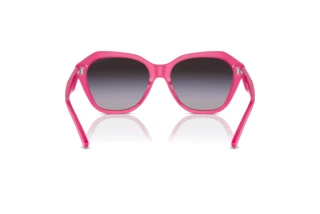 Achteraanzicht Emporio Armani EA4221 (61188G)