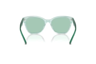 Achteraanzicht Emporio Armani EA4222U (611271)