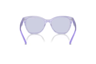 Achteraanzicht Emporio Armani EA4222U (61131A)