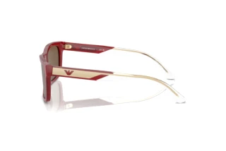 Zijaanzicht Emporio Armani EA4224 (609373)