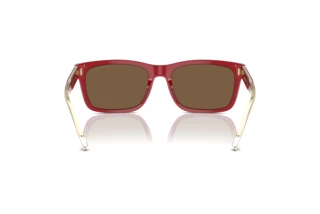 Achteraanzicht Emporio Armani EA4224 (609373)