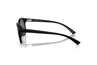 Zijaanzicht Emporio Armani EA4225U (500187)