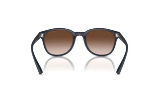 Achteraanzicht Emporio Armani EA4225U (508813)