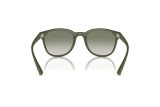 Achteraanzicht Emporio Armani EA4225U (60998E)