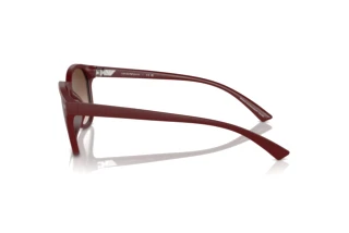 Zijaanzicht Emporio Armani EA4225U (610113)