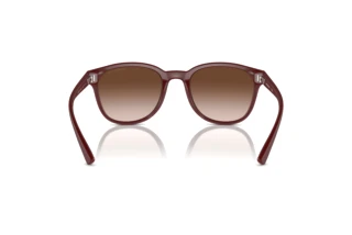 Achteraanzicht Emporio Armani EA4225U (610113)