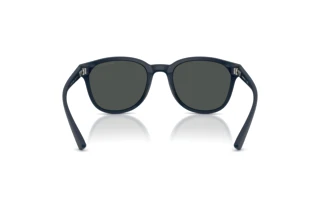 Achteraanzicht Emporio Armani EA4225U (618587)