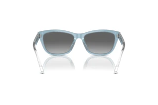 Achteraanzicht Emporio Armani EA4227U (609611)