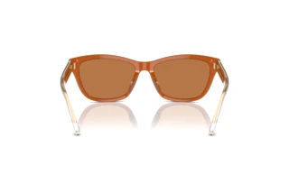 Achteraanzicht Emporio Armani EA4227U (609773)