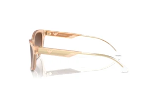 Zijaanzicht Emporio Armani EA4227U (609813)