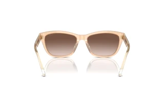 Achteraanzicht Emporio Armani EA4227U (609813)