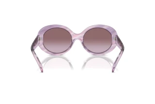 Achteraanzicht Emporio Armani EA4231U (61558H)