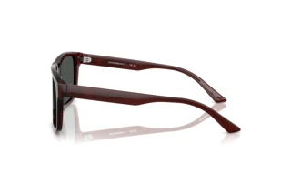 Zijaanzicht Emporio Armani EA4232 (617487)