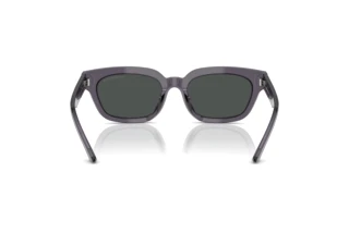 Achteraanzicht Emporio Armani EA4233U (610687)