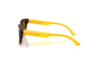 Zijaanzicht Emporio Armani EA4233U (618173)