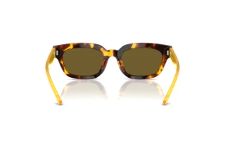 Achteraanzicht Emporio Armani EA4233U (618173)